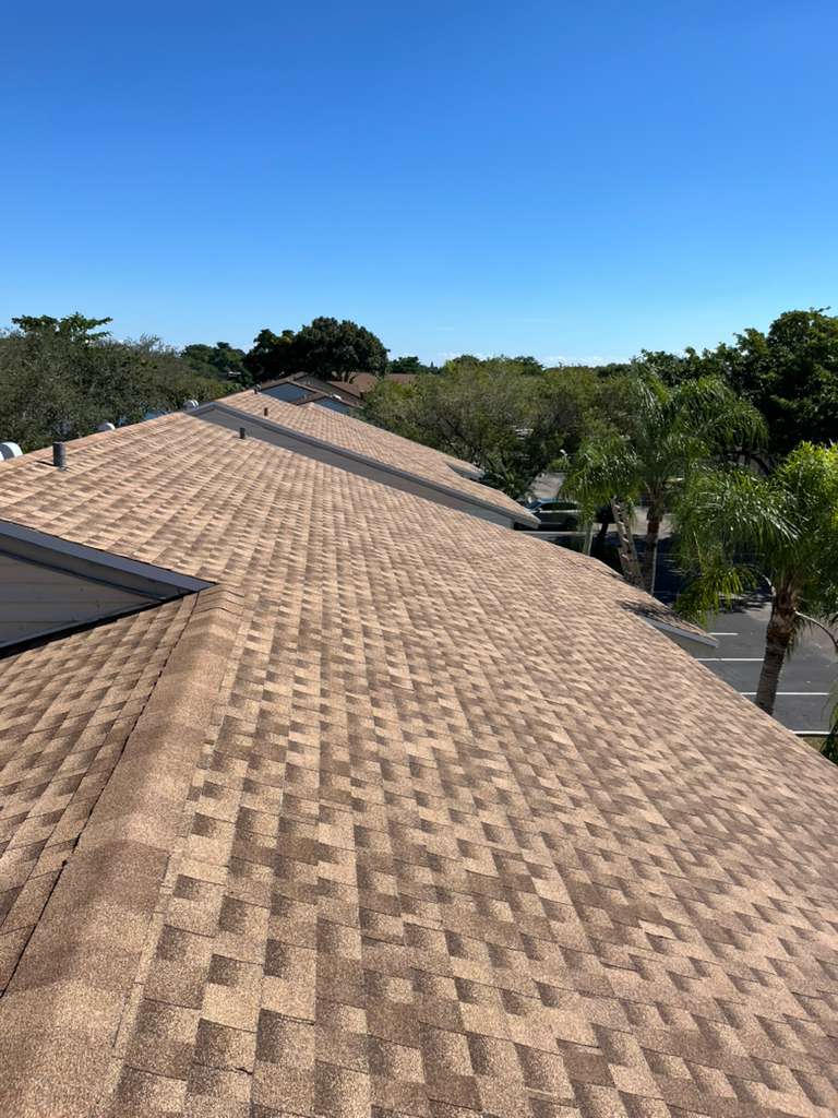 Shingle roofing