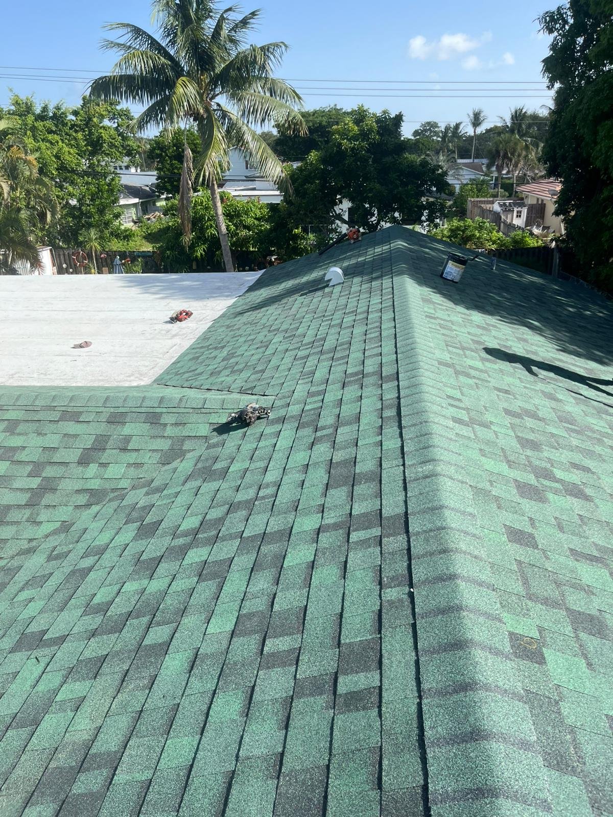 Shingle roofing
