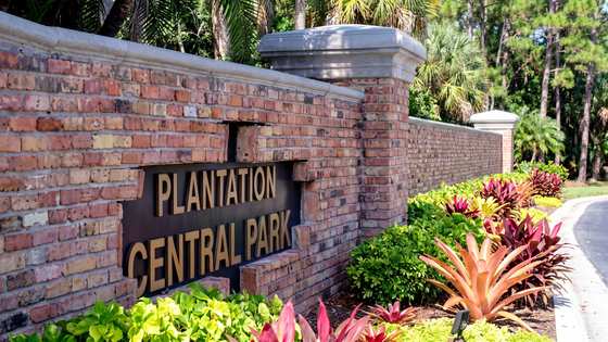 Central Park