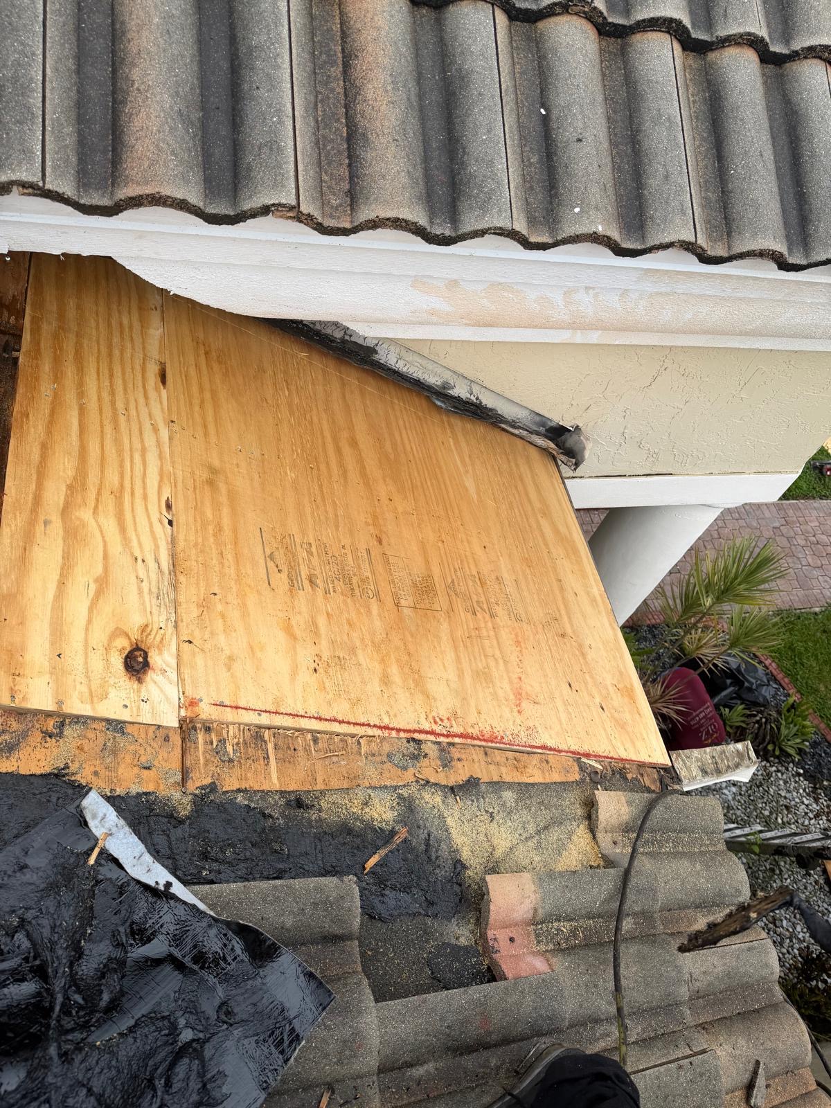 New CDX plywood roof decking installed to Florida code on a Broward County roof