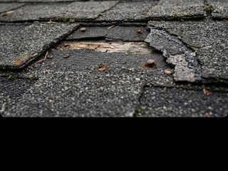 Missing or Broken Shingles