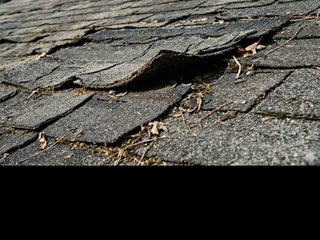 Widespread Storm Damage