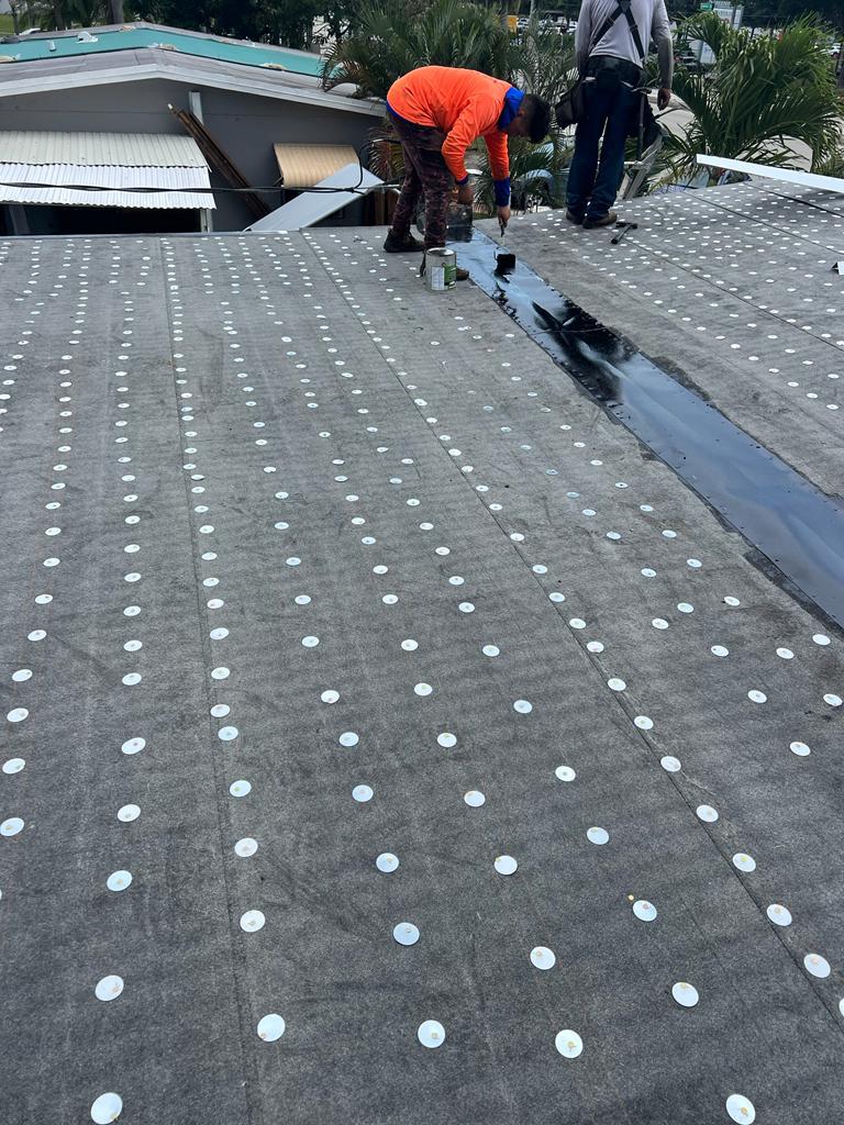 Seams, Primer &amp; Flashings