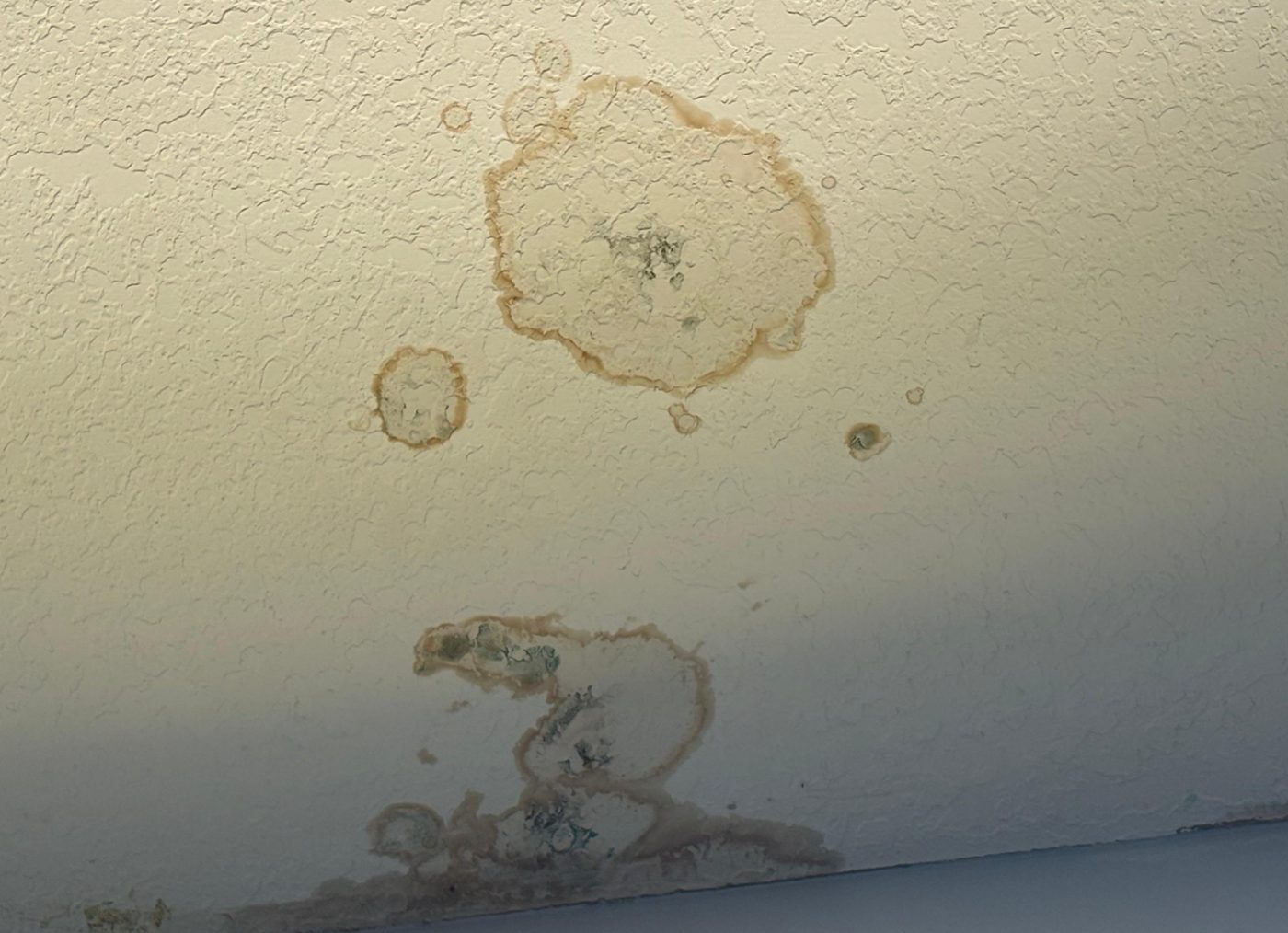 Brown water ring with grey-green spotting on an interior ceiling near a window