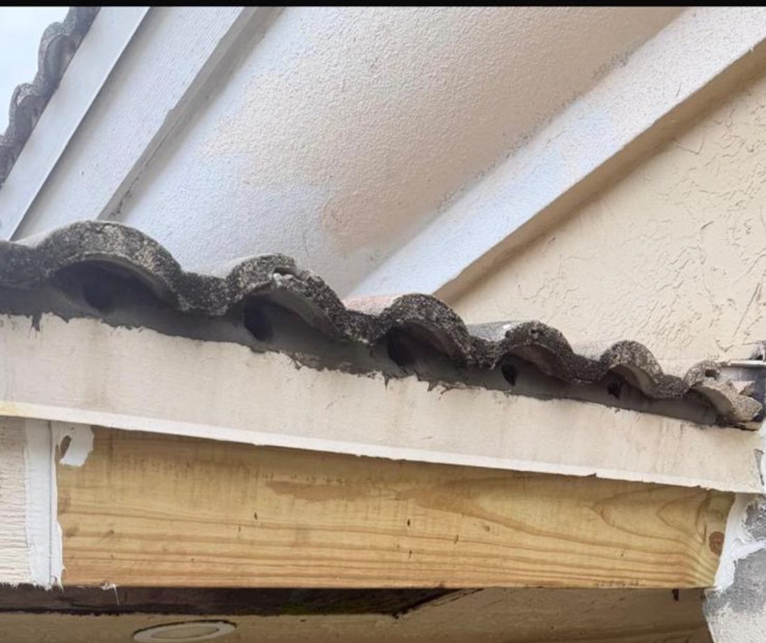New fascia board and drip edge installed at a tile roof eave, seen from below