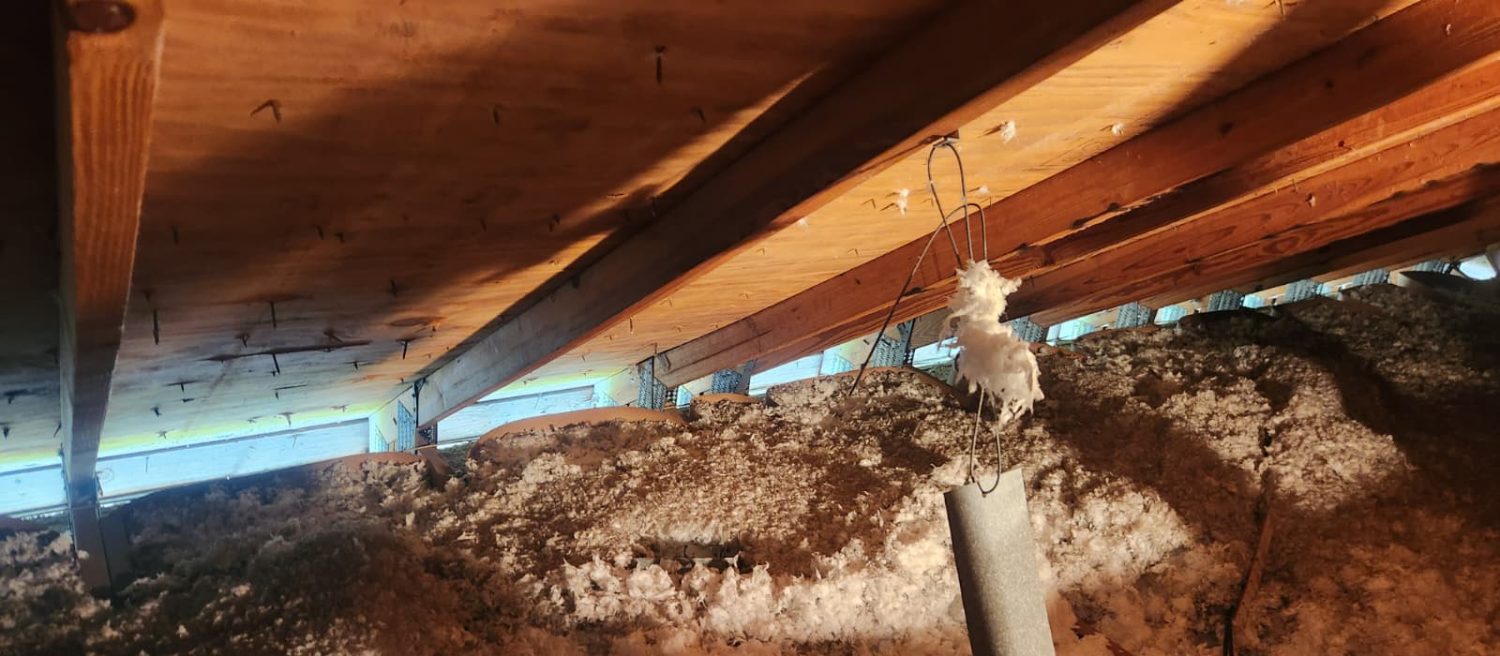 Long view along the wall line of a dark attic showing the row of truss connections above blown-in insulation