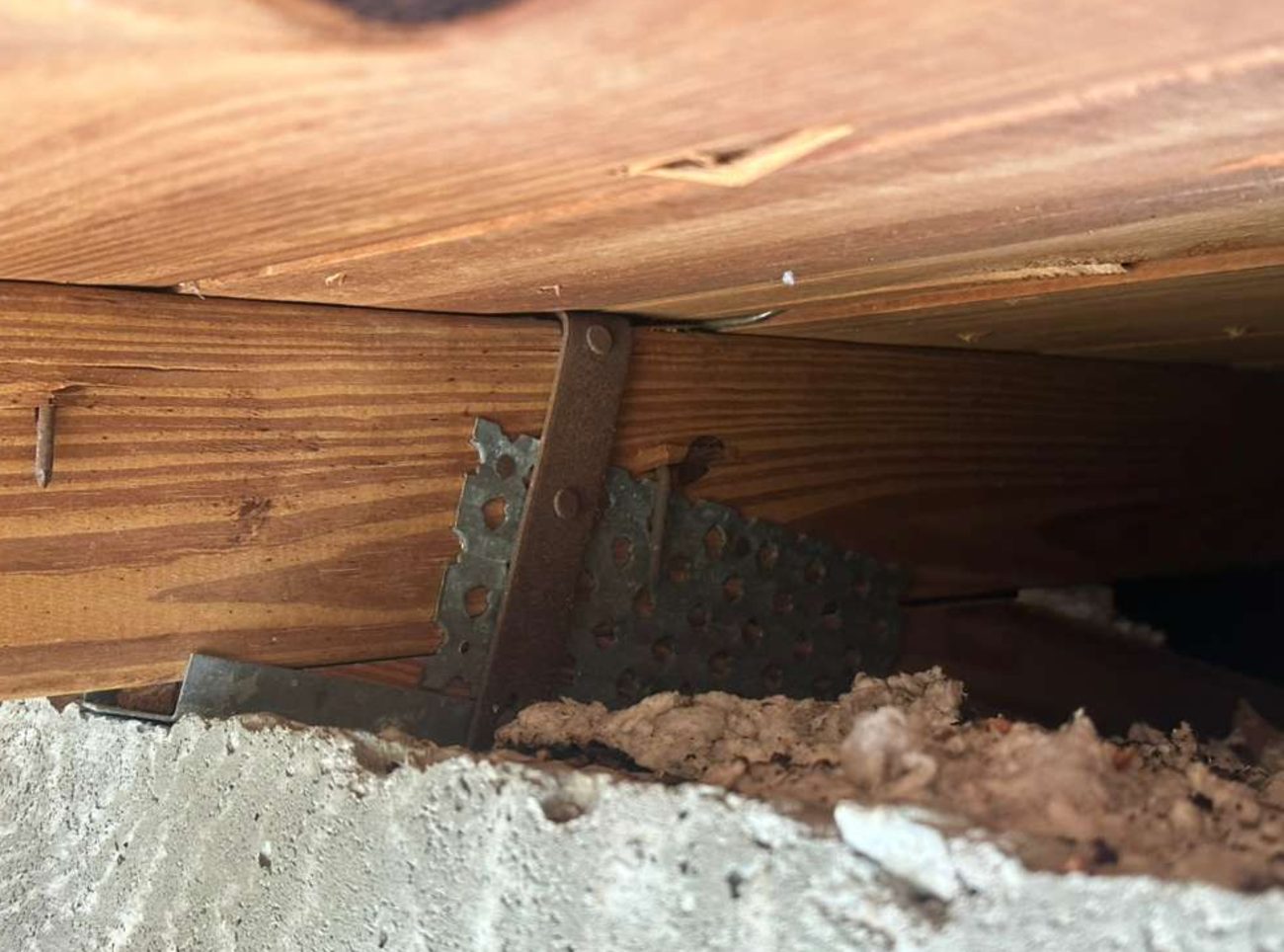 The same style of roof-to-wall strap seen from a lower angle, with a galvanised truss plate visible behind it