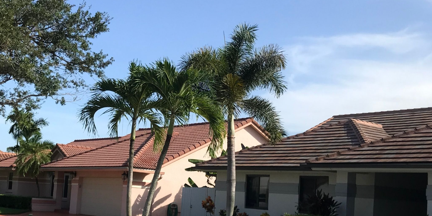 Two neighbouring Spring Valley homes with different tile roof profiles and ages