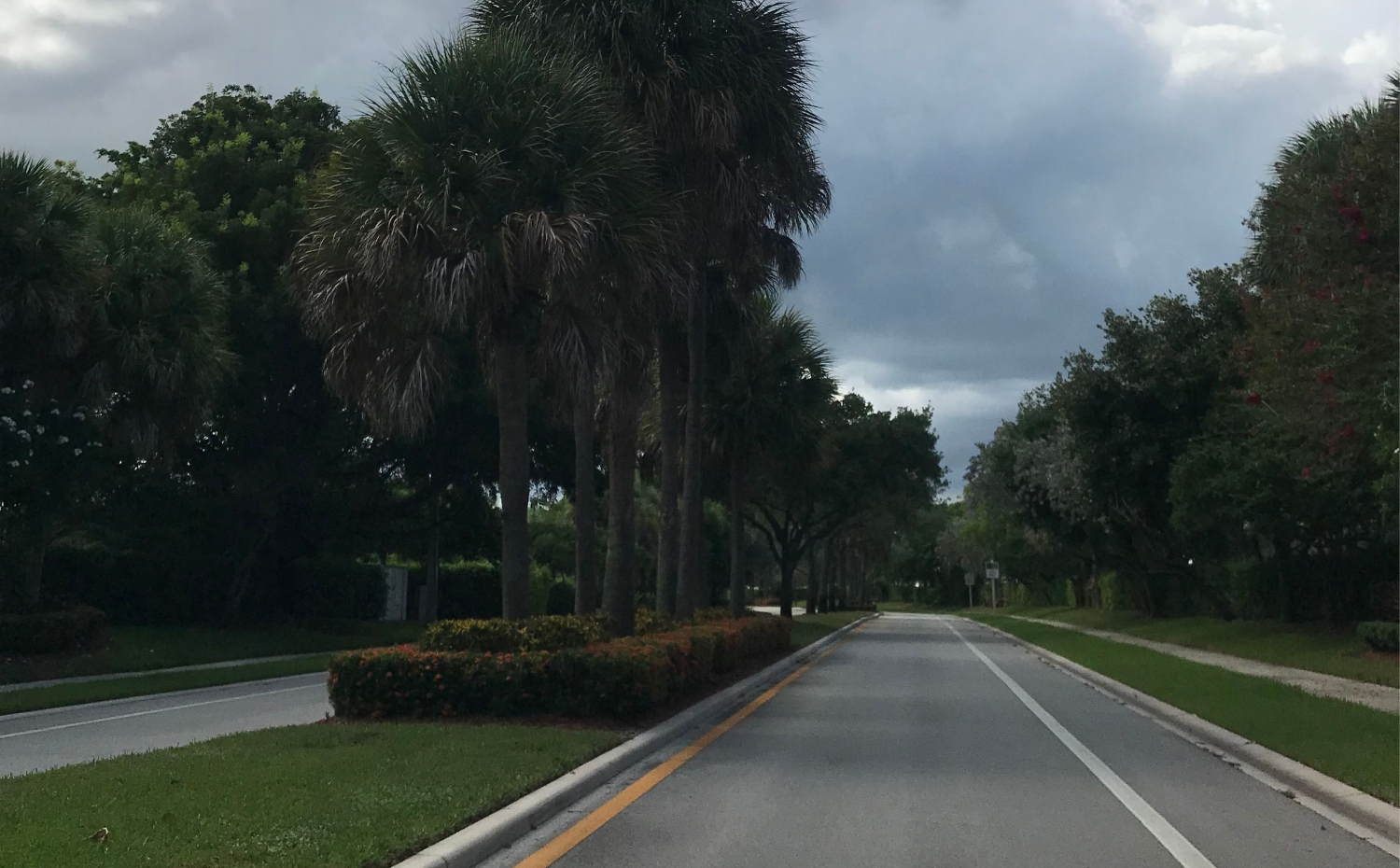Palm-lined divided entrance road into Towngate, Pembroke Pines FL