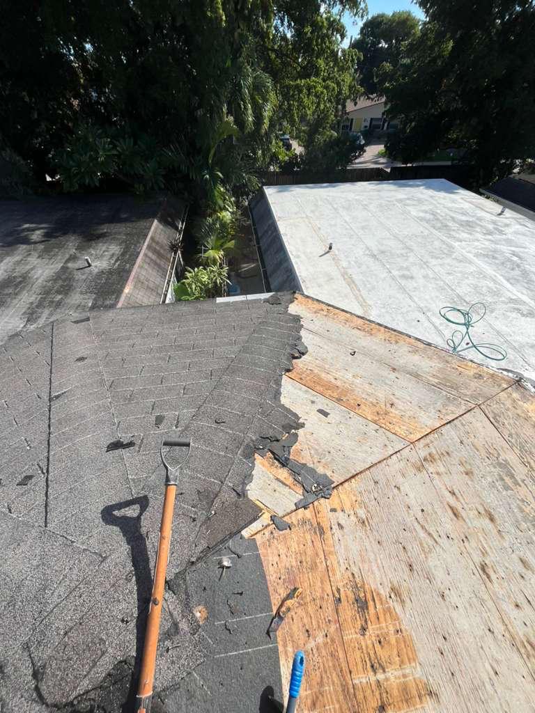 Roof decking fully exposed after shingle tear-off in Broward County, Florida