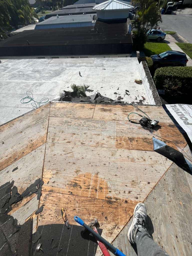 Replacement plywood decking installed during a shingle re-roof in Broward County, Florida
