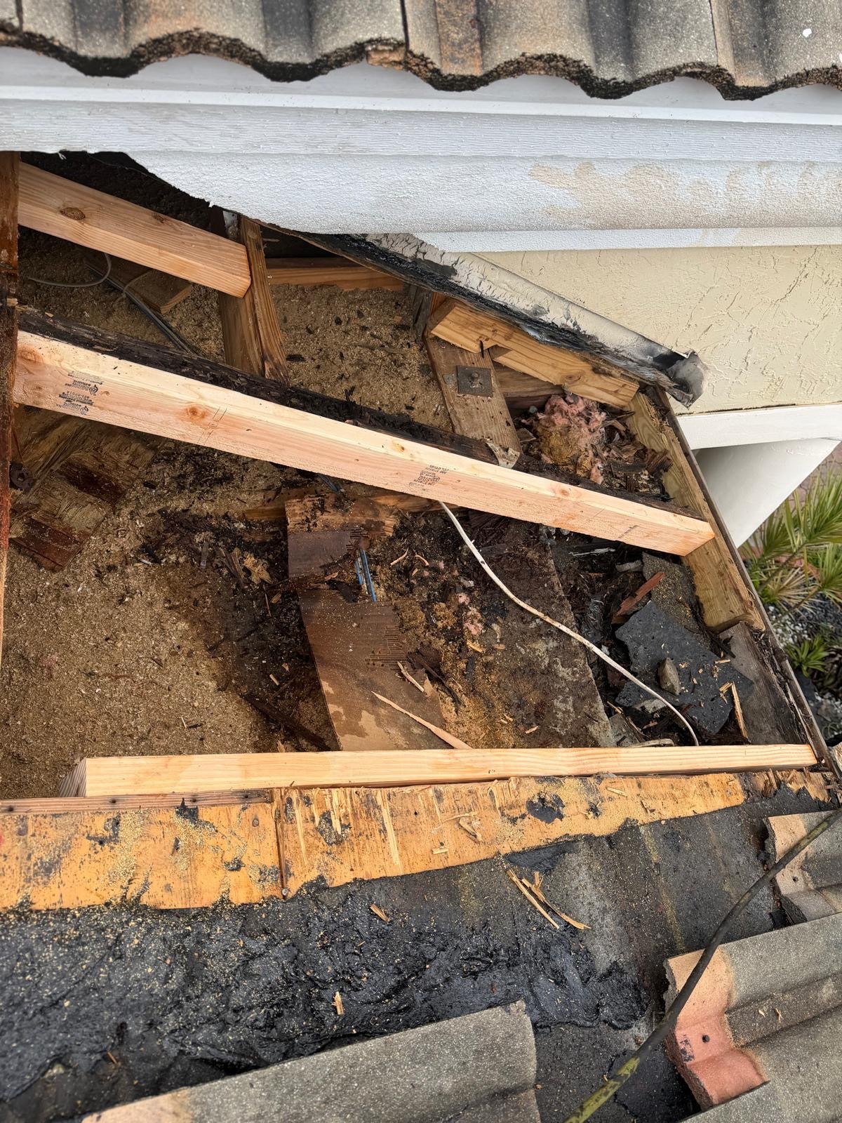 Rotted roof framing exposed beneath failed decking in Broward County, Florida