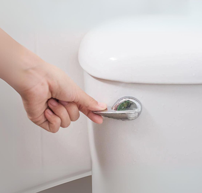 Gravity-Fed Toilet
