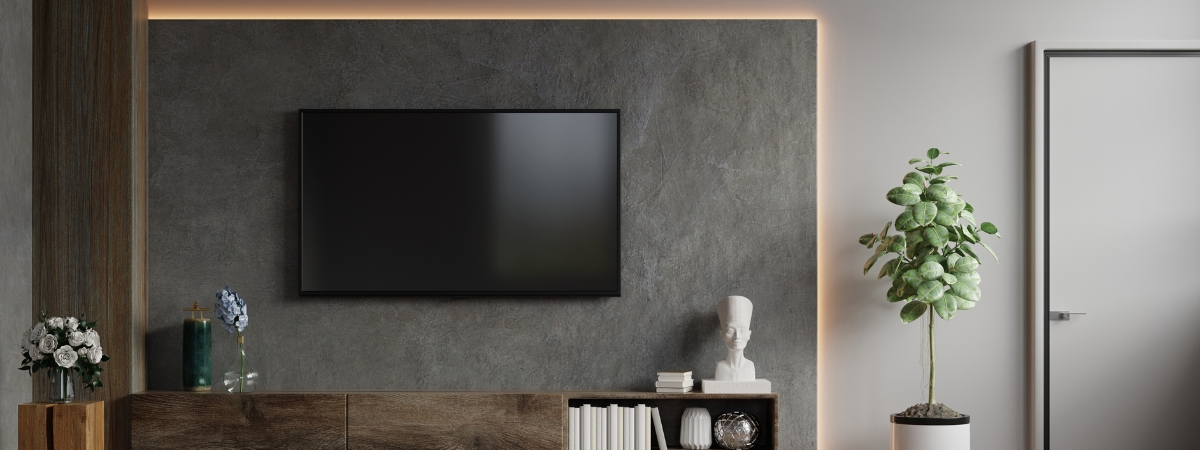 Accent Wall and TV Mount Services