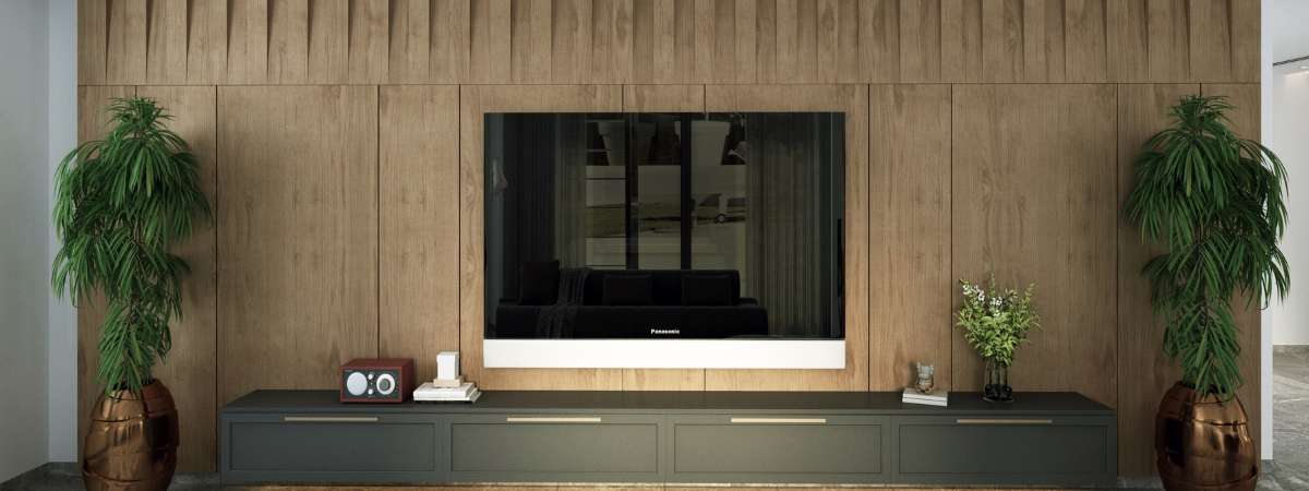 Accent Wall and TV Mount Services